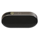 DALI KATCH G2 Portable Speaker