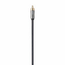 QED Performance Subwoofer RCA Cable