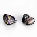 Canpur CP622B In-Ear Monitors