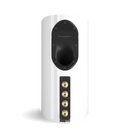 DALI EPIKORE 3 Standmount Speakers