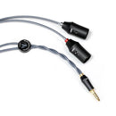 DDHiFi BC44XLR 4.4mm Balanced to XLR Cable