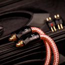 Eletech Cable School of Athens Aristotle In-Ear Cable