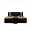 Feliks Audio EOS Hybrid Headphone Amplifier & Speaker Amplifier