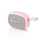 FiiO Snowsky Anywhere Portable Bluetooth Speaker
