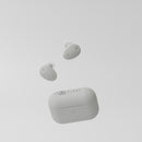 Final ZE300 TWS Earphones