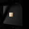 Goldmund APOLOGUE SPECIAL EDITION Active Wireless Speaker