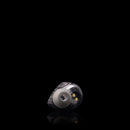 Noble FoKus Prestige Encore True Wireless In-Ear Monitors