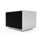 Pilium Kratos Mono Amplifier (Pair)