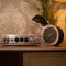 iFi audio Pro iCAN Signature Headphone Amplifier Silver